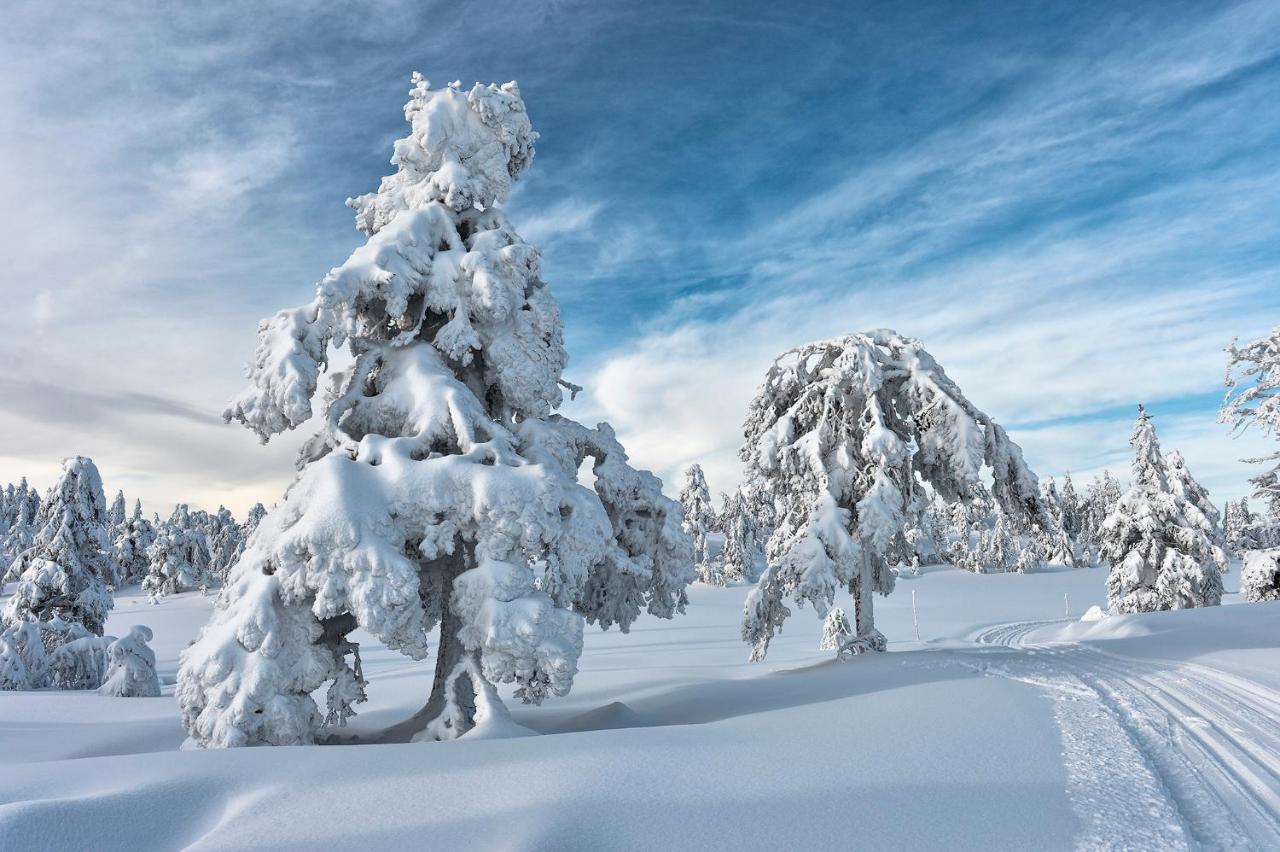 Tyrifjord Hotell Vikersund Екстер'єр фото